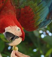 by onwardrambler, Views[148]