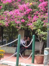 by oonagh, Views[170]