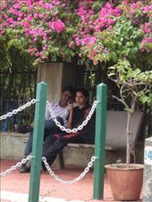 by oonagh, Views[154]