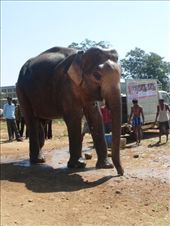 by oonagh, Views[181]