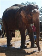 by oonagh, Views[193]