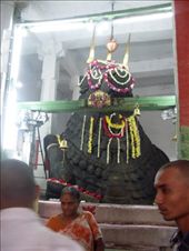 The Bbull idol inside the Bull Temple.: by oonagh, Views[160]