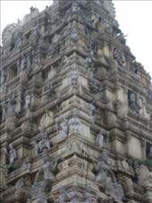 by oonagh, Views[140]