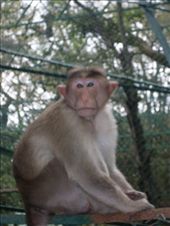 by oonagh, Views[243]