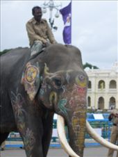 by oonagh, Views[152]