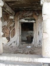 by oonagh, Views[254]