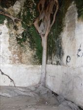 by oonagh, Views[224]