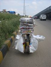 by oonagh, Views[274]