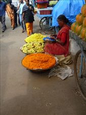 by oonagh, Views[321]