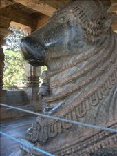 by oonagh, Views[170]