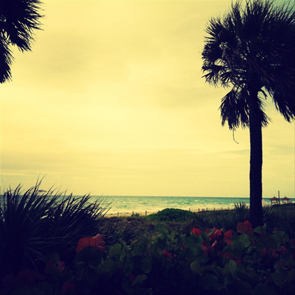 Thinking about freedom