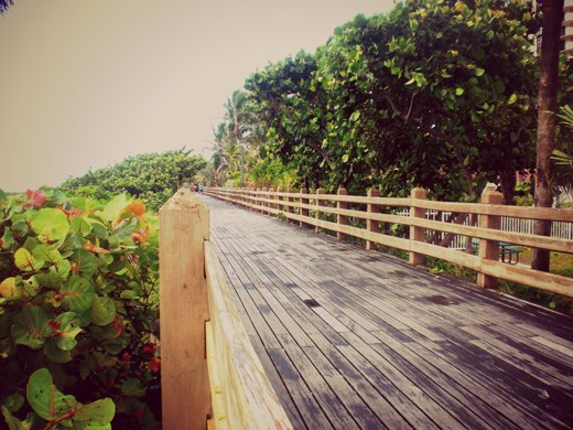 Walking in the morning