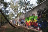 Graffiti in Athens is as old as the city itself. This wall covered with maddening signatures and art-designs separates the forest park and Athens College (Kollegio Psychico). I live a minute walk from this park.: by opo480, Views[585]