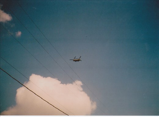 angeles (Los Angeles)