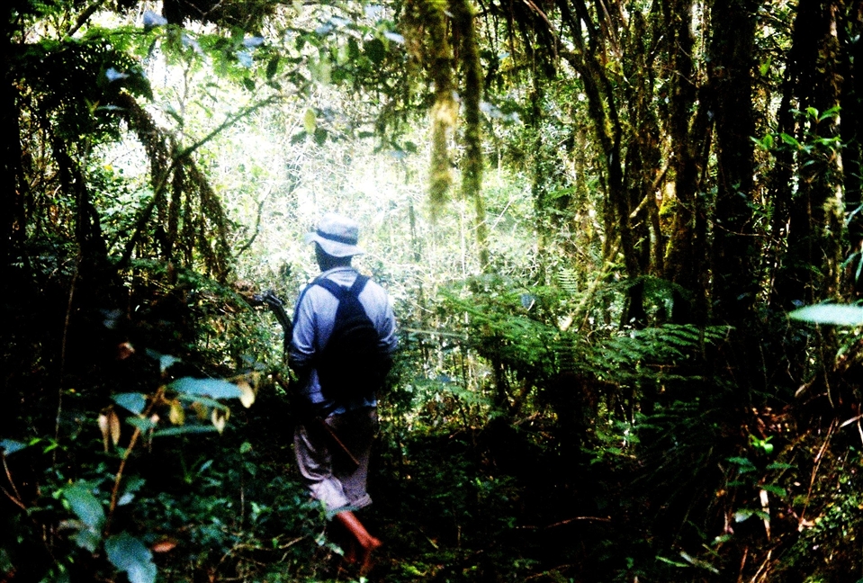 The quest to find this mysterious lake needs a hunter to guide the way. 