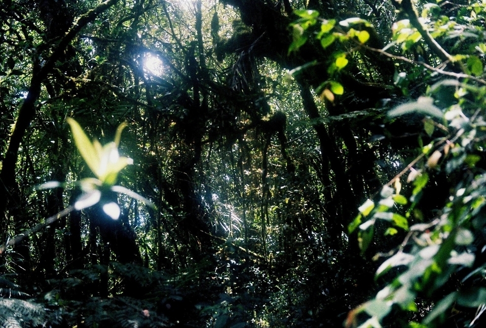 Locals in Barlig speak of an enchanted lake that appears only if she wants to be seen.