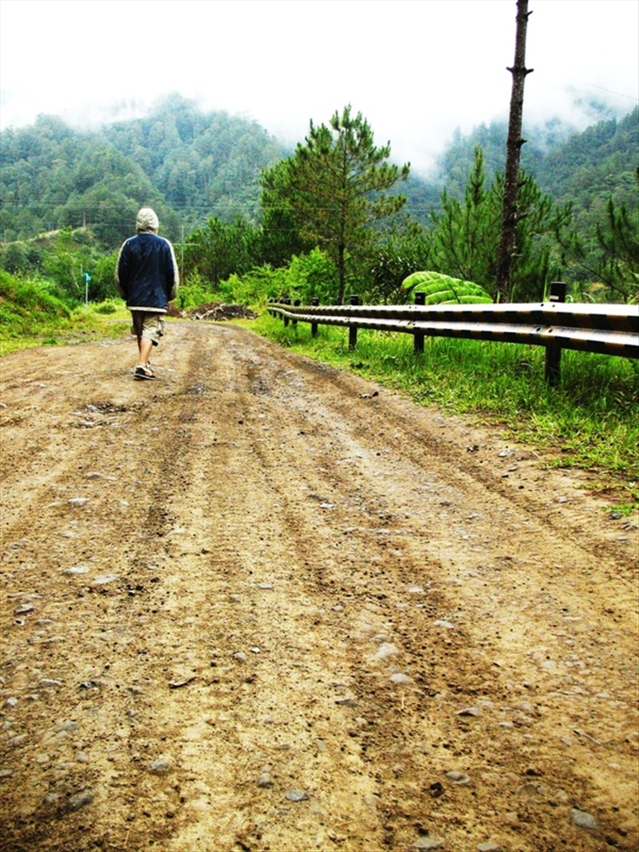 Nothing beats an afternoon walk in the hinterlands. 
