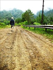 Nothing beats an afternoon walk in the hinterlands. : by organicisms, Views[512]