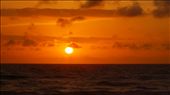 A newly emerging sun combined with winds  blowing smoke southerly, from a bush f: by orngcynr77, Views[267]
