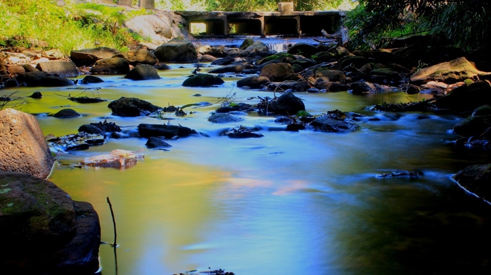 Walk along Otford creek