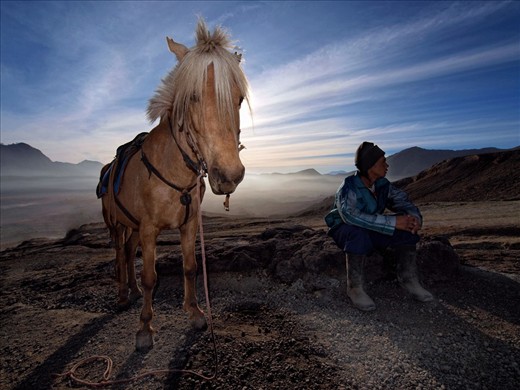 As mentioned in another picture that horse is one of the most famous transportation at Bromo, it also become an income source for Tenggerian people. They normally rent the horse for people who want to climb the mountain to see Sunrise in the morning or people who want to travel around the area. In picture is the horse i ride when i climb the mountain & it's jokey/owner with Sunrise in background. 