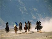The Nature Condition at Tengger Massif where Bromo located are surrounded by a Sea of Sand (Sagara Wedi in Local's Name) Pairie and Savana. A condition where horse can be a good choice for transportation. Nowaday, one of the most famous & interesting thing at Bromo are their Local (tenggerian) Horse rider.: by otonieru, Views[841]