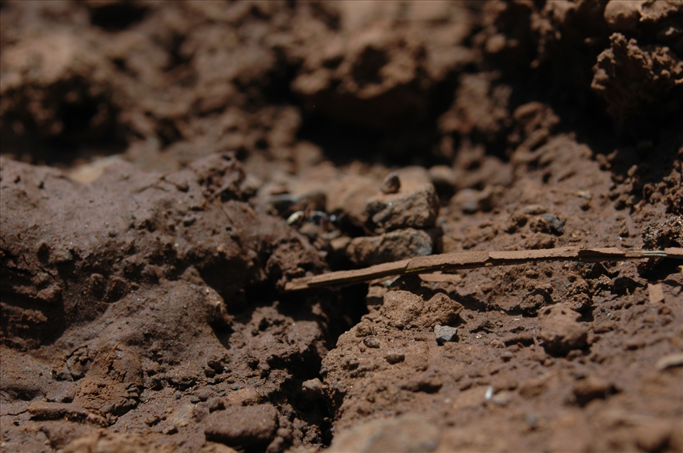 it is seen hiding around