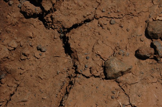 finally hides in the cracks