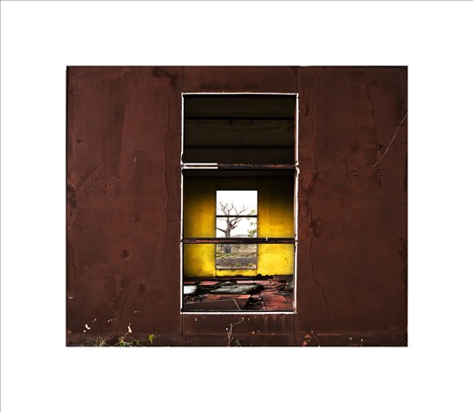 Abandoned Community, this abandoned aboriginal community is riddled with asbestos. the colours are amazing, all the buildings are painted different colours.  The view through the window looks out to a boab tree.