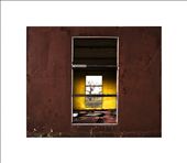 Abandoned Community, this abandoned aboriginal community is riddled with asbestos. the colours are amazing, all the buildings are painted different colours.  The view through the window looks out to a boab tree.: by outback_aussie, Views[544]