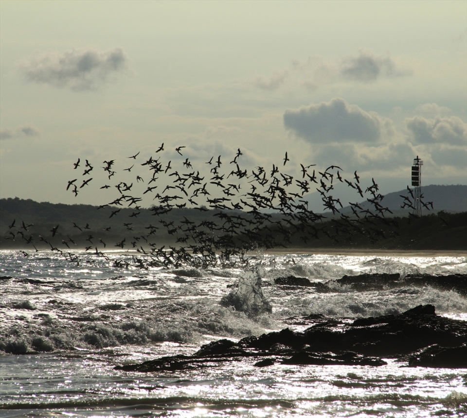 An eye-catching fishing scenery. Thats how  Teamwork functions.