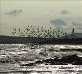 An eye-catching fishing scenery. Thats how  Teamwork functions.: by outbreaking, Views[915]