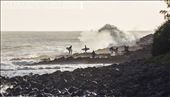 Surfers line up to jump out whilst some retreat from the rough sea's.: by outoffocusprod, Views[662]