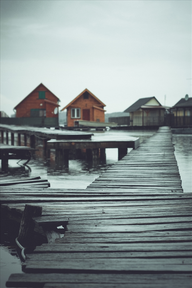 some decks leading to the abandoned houses this time of the year.