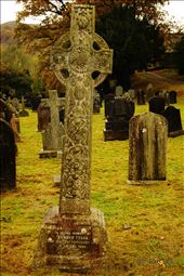 Peace everywhere.: by overtherainbow, Views[235]