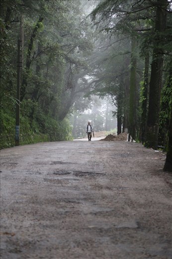 Wide roads in the wilderness
