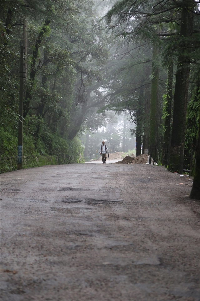 Wide roads in the wilderness