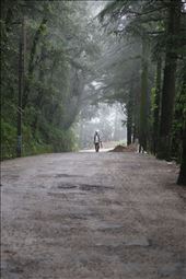 Wide roads in the wilderness: by oviya, Views[277]