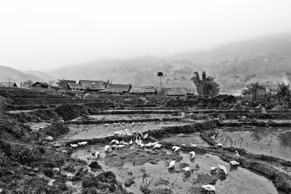 Village in Lao Cai province (north-west of Vietnam) where live ethnic minorities