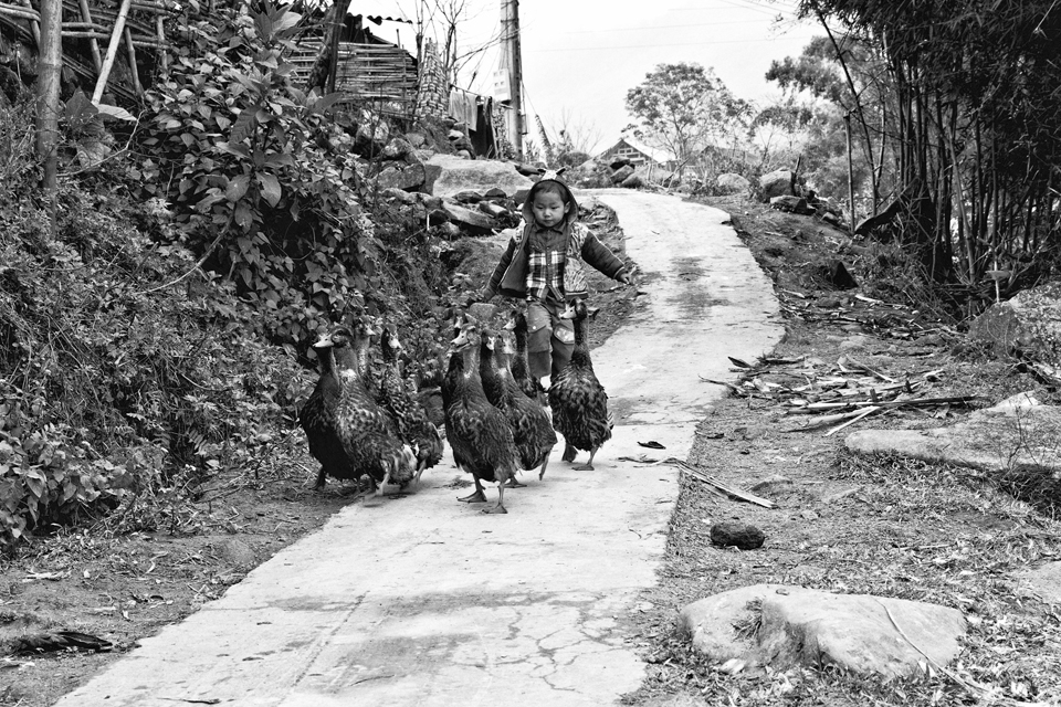 Children play with animals and enjoy their life with small things.