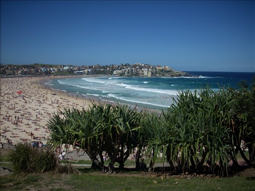 Bondi Beach