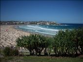 Bondi Beach: by ozdiary, Views[200]