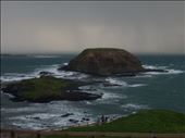 Phillip Island: by ozdiary, Views[139]