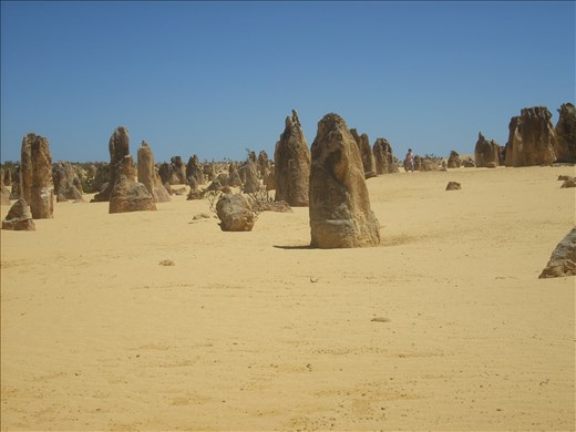 The Pinnacles, Nambung National Park