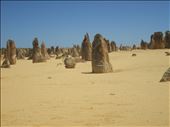 The Pinnacles, Nambung National Park: by ozdiary, Views[182]