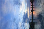 by p-j, Views[202]