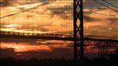 Ambassador bridge: by p_b_p, Views[415]