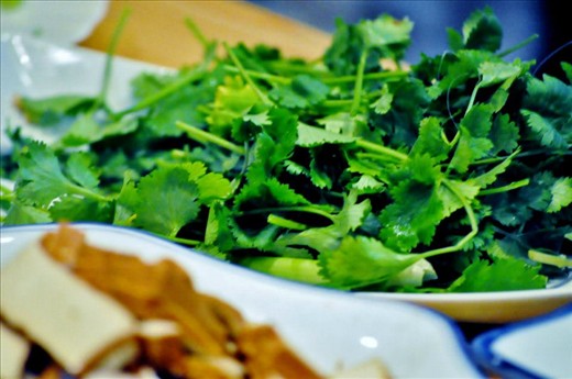 Essential Ingredient #1