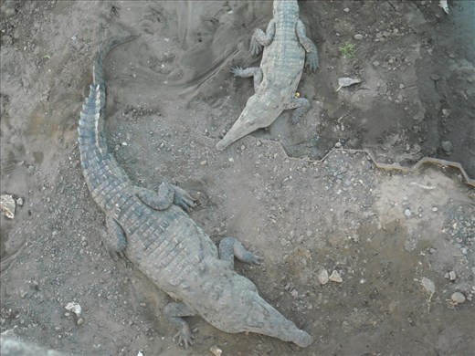 The raw power of nature...