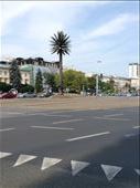 The Palmera Artificial on Jerusalem: by paganmaven, Views[363]